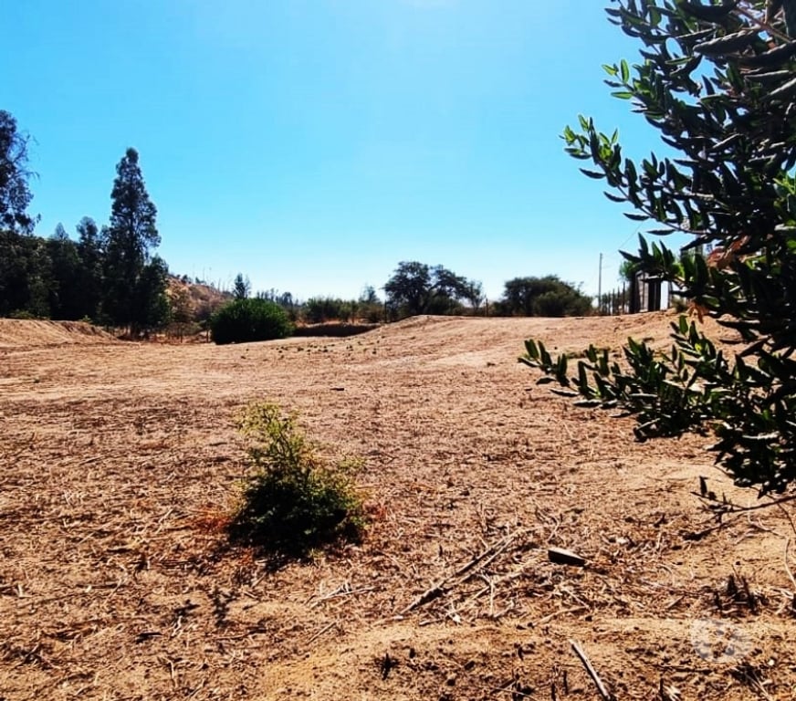 Parcelas en Venta Quillota Limache - Fotos de PARCELA PLANA CON LUZ Y AGUA EN CONDOMINIO