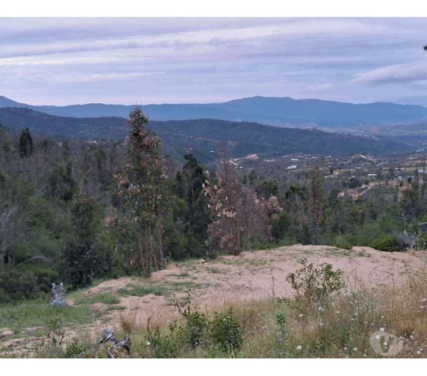 Parcelas en Venta Quillota Limache - Fotos de PARCELA EN CONDOMINIO VALLE VERDE MAR.