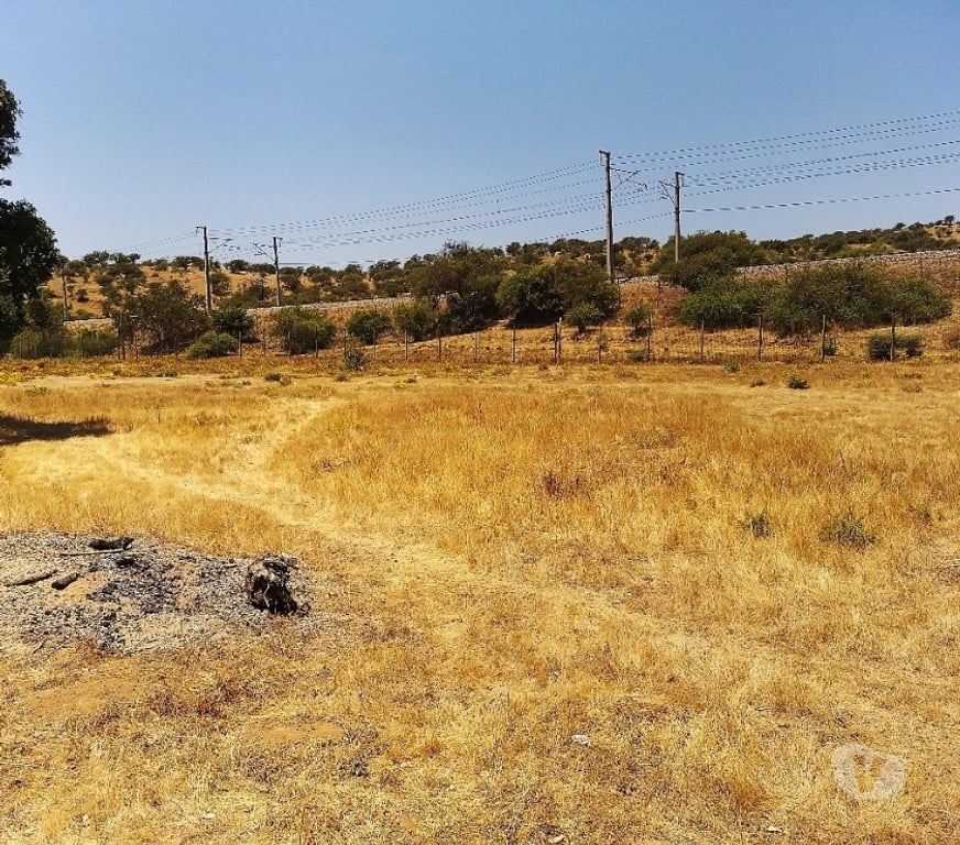 Parcelas en Venta Quillota Limache - Fotos de PARCELA PLANA A MINUTOS DE VILLA ALEMANA