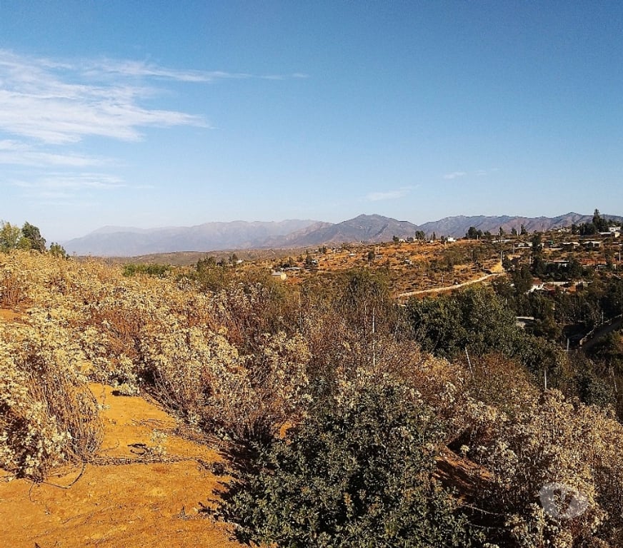 Parcelas en Venta Quillota Limache - Fotos de PARCELA 5000 MT2 FUNDO EL LEBU