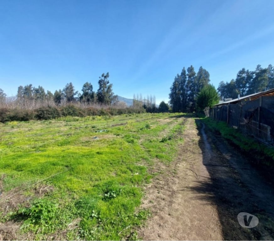 Parcelas en Venta Maipo Paine - Fotos de Parcela en Colonia Kennedy-Paine.
