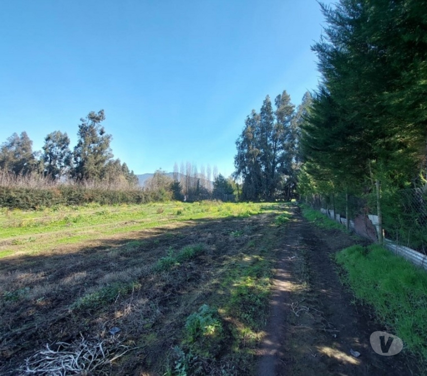 Parcelas en Venta Maipo Paine - Fotos de Parcela en Colonia Kennedy-Paine.