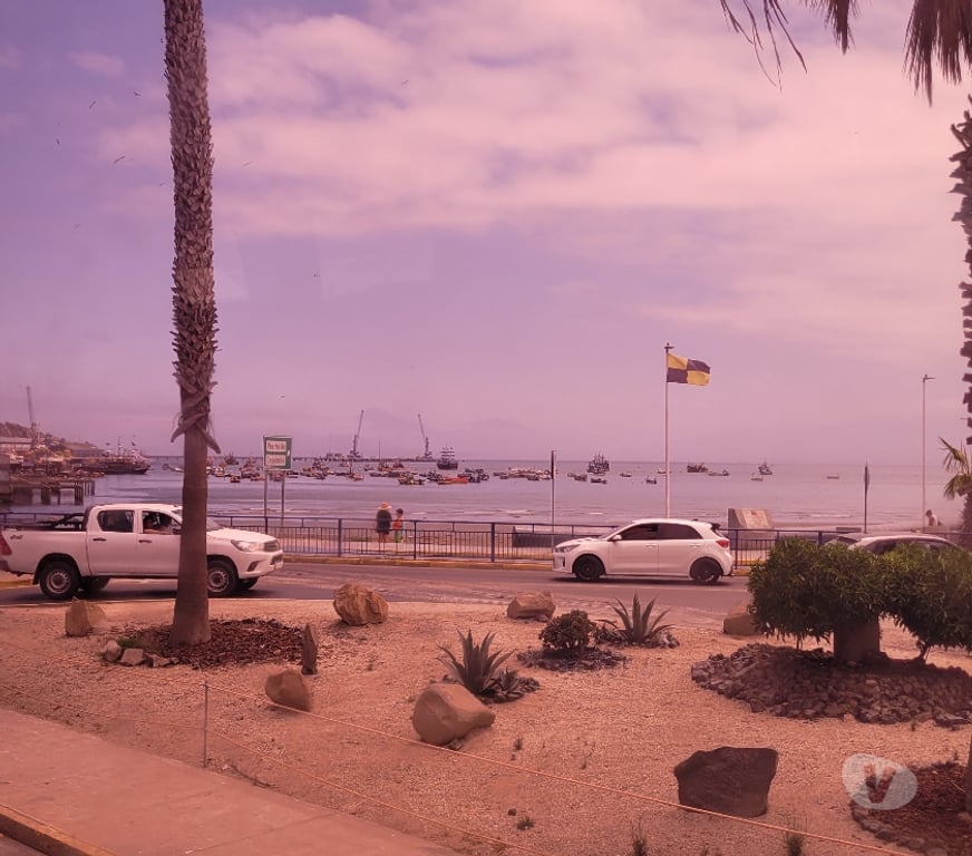 Escort Elqui La Serena - Fotos de Madura, Natural, Encantadora 932390259