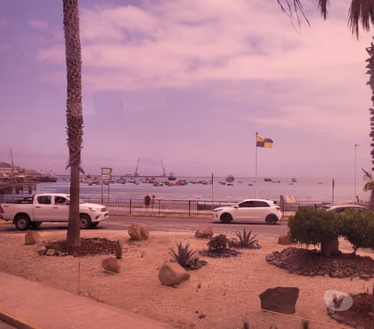 Escort La Serena Elqui - Fotos de Madura, Natural, Encantadora 932390259