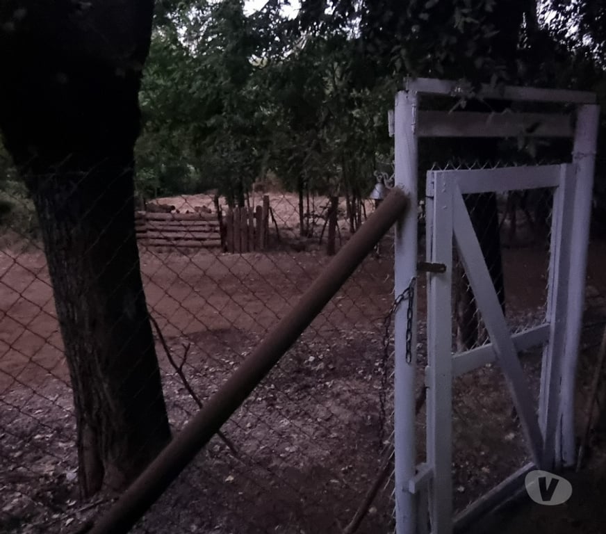 Bienes Raices Ñuble Coihueco - Fotos de VENDE PARCELA DE 5.000 MTS 2 CON CASA 90 MT2,ÑUBLE