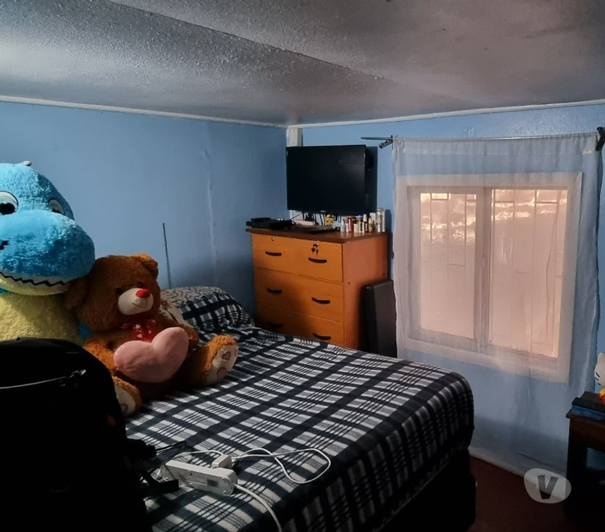 Bienes Raices Ñuble Coihueco - Fotos de VENDE PARCELA DE 5.000 MTS 2 CON CASA 90 MT2,ÑUBLE