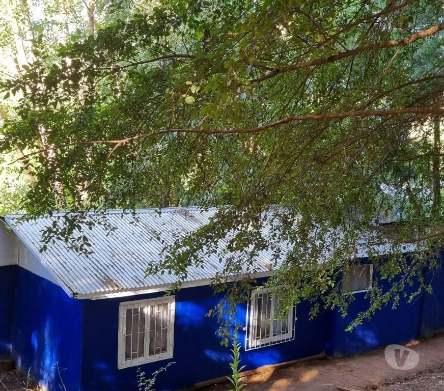 Bienes Raices Ñuble Coihueco - Fotos de VENDE PARCELA DE 5.000 MTS 2 CON CASA 90 MT2,ÑUBLE