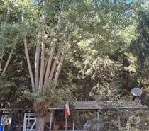 VENDE PARCELA DE 5.000 MTS 2 CON CASA 90 MT2,ÑUBLE