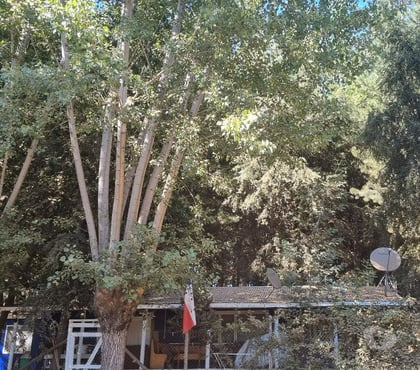 Inmobiliaria Coihueco Ñuble - Fotos de VENDE PARCELA DE 5.000 MTS 2 CON CASA 90 MT2,ÑUBLE