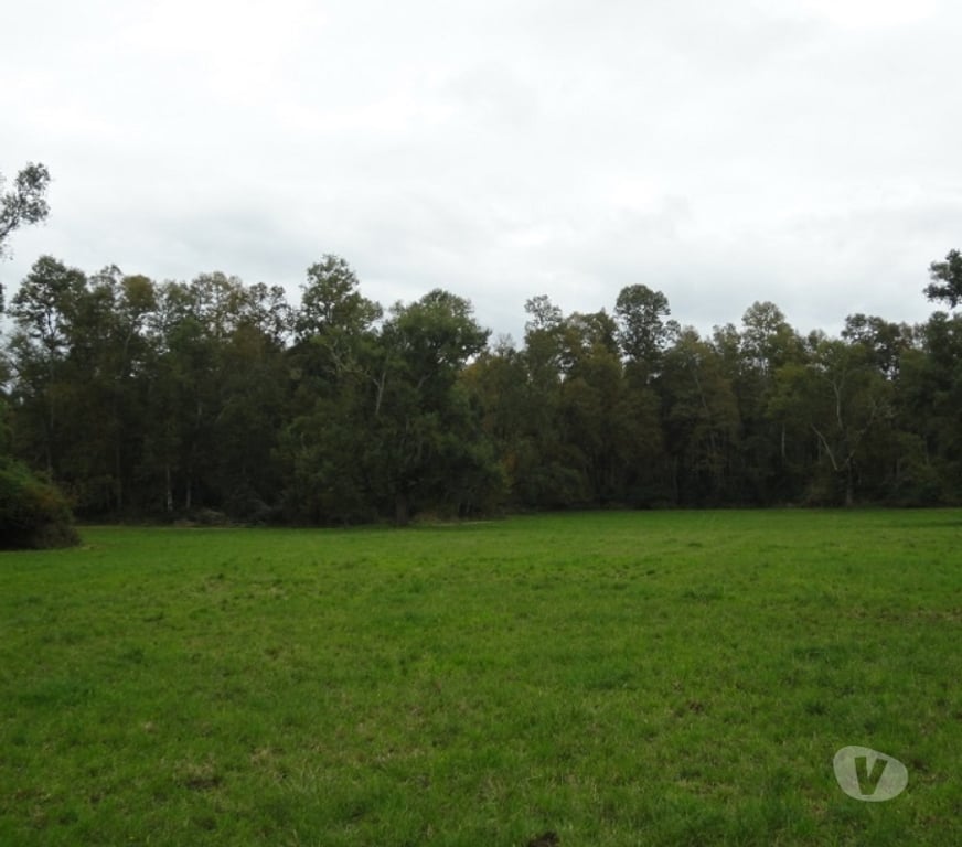 Venta de Haciendas Valdivia Los Lagos - Fotos de Precioso Campo de 426 hás en Los Lagos-Valdivia, uso amplio