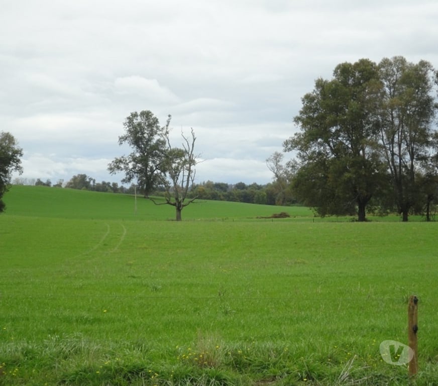Venta de Haciendas Valdivia Los Lagos - Fotos de Precioso Campo de 426 hás en Los Lagos-Valdivia, uso amplio