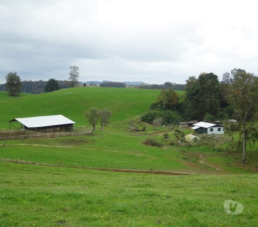 Venta de Haciendas Valdivia Los Lagos - Fotos de Precioso Campo de 426 hás en Los Lagos-Valdivia, uso amplio