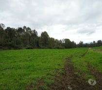 Fotos de Precioso Campo de 426 hás en Los Lagos-Valdivia, uso amplio