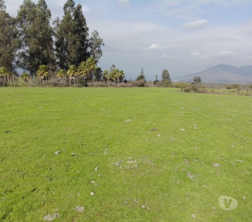 Venta de Haciendas Melipilla Melipilla - Fotos de Precioso Campo 80 hás en Melipilla con Agua, de uso Mixto