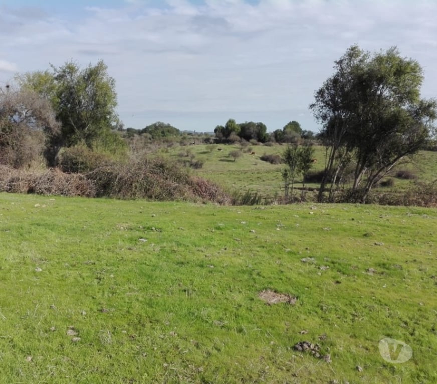 Venta de Haciendas Melipilla Melipilla - Fotos de Precioso Campo 80 hás en Melipilla con Agua, de uso Mixto