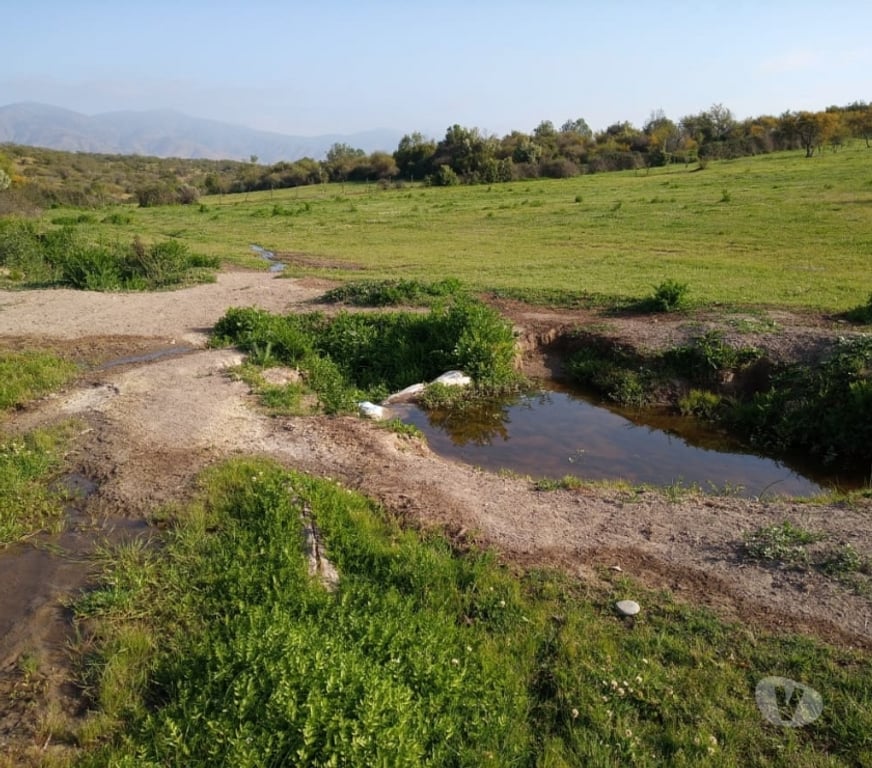 Venta de Haciendas Melipilla Melipilla - Fotos de Precioso Campo 80 hás en Melipilla con Agua, de uso Mixto