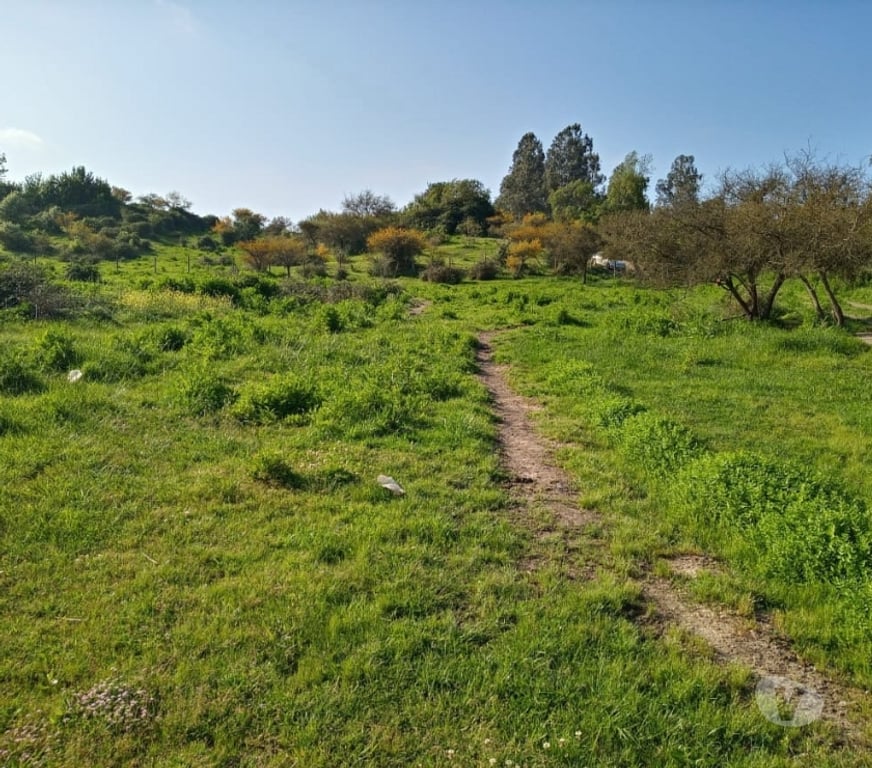 Venta de Haciendas Melipilla Melipilla - Fotos de Precioso Campo 80 hás en Melipilla con Agua, de uso Mixto