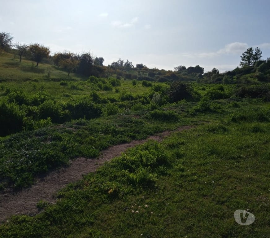 Venta de Haciendas Melipilla Melipilla - Fotos de Precioso Campo 80 hás en Melipilla con Agua, de uso Mixto