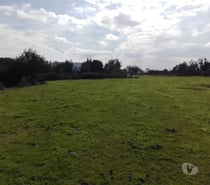 Fotos de Precioso Campo 80 hás en Melipilla con Agua, de uso Mixto