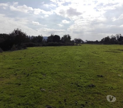 Fundos en Venta Melipilla Melipilla - Fotos de Precioso Campo 80 hás en Melipilla con Agua, de uso Mixto