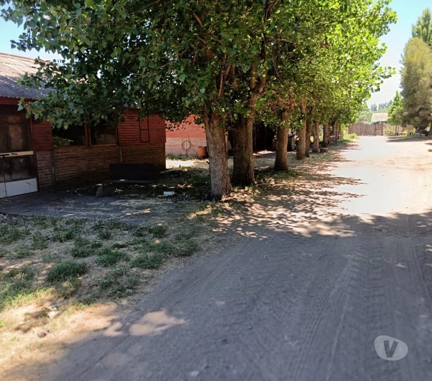 Venta de Haciendas Curicó Teno - Fotos de Espectacular Campo de 50 Hás Teno-Curicó con Cerezas