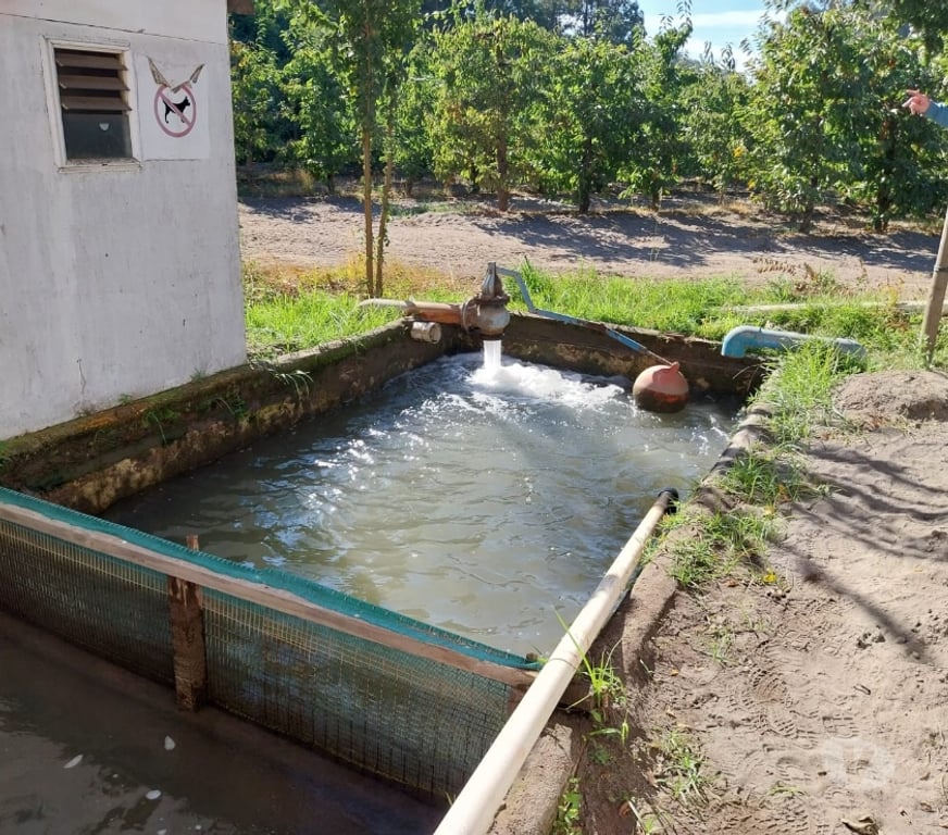 Venta de Haciendas Curicó Teno - Fotos de Espectacular Campo de 50 Hás Teno-Curicó con Cerezas