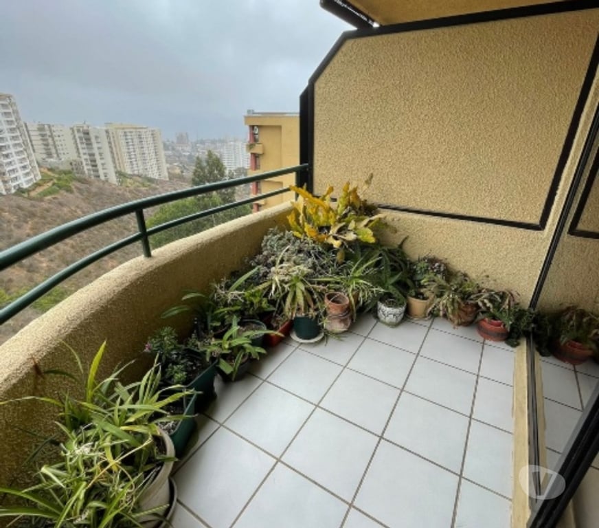 Bienes Raices Valparaíso Viña del Mar - Fotos de VIÑA VENTA DEPTO 3D 2B 1EST RECREO ALTO