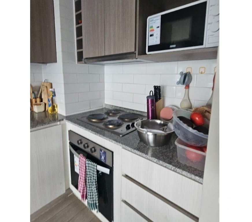 Bienes Raices Concepción Concepción - Fotos de Vende Departamento Amoblado Estilo Mariposa, Concepción.