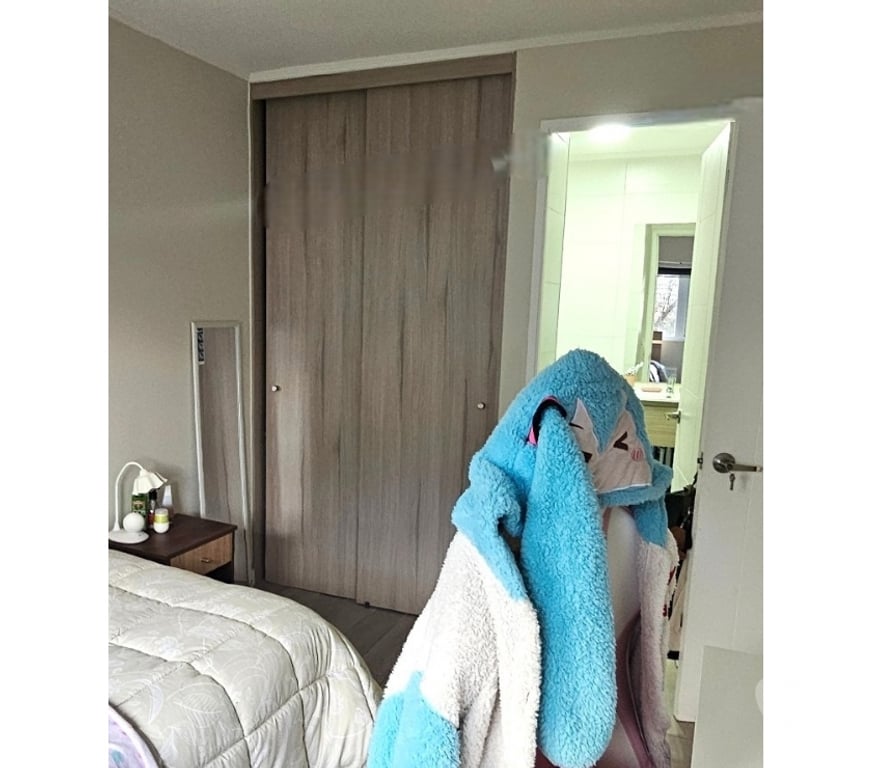 Bienes Raices Concepción Concepción - Fotos de Vende Departamento Amoblado Estilo Mariposa, Concepción.