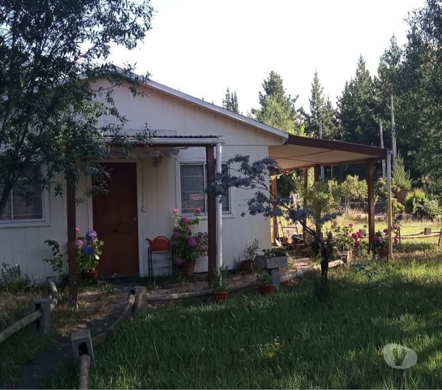 Arriendos Bío-Bío Los Ángeles - Fotos de ARRIENDO PARCELA CON CASA Y CABAÑAS
