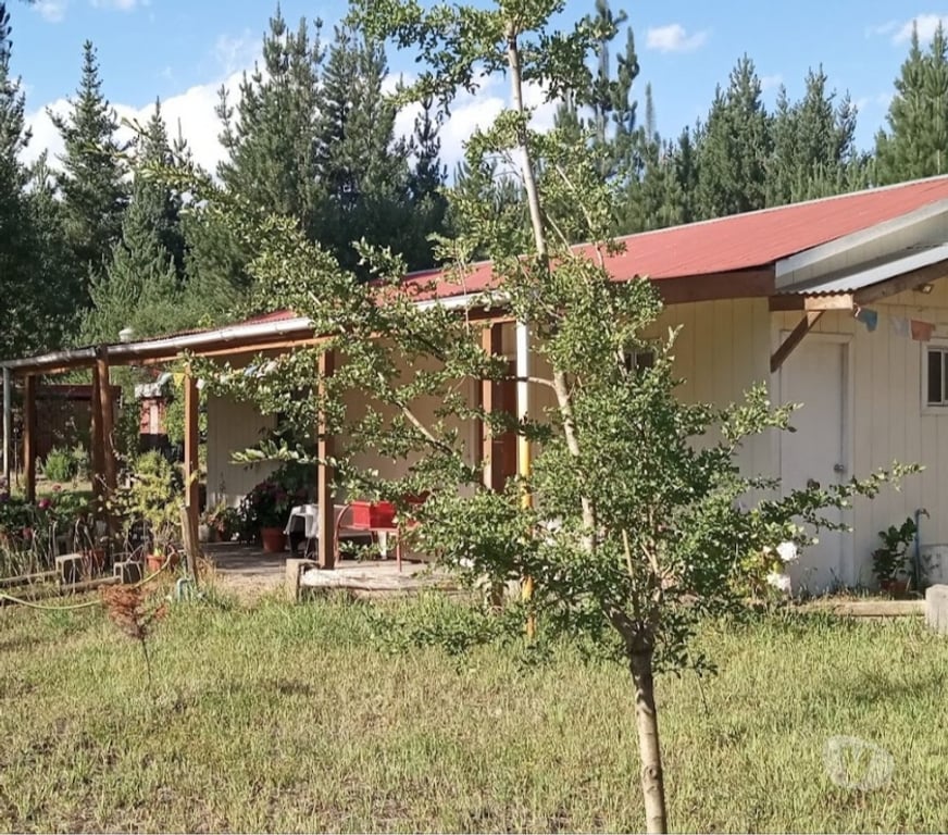 Arriendos Bío-Bío Los Ángeles - Fotos de ARRIENDO PARCELA CON CASA Y CABAÑAS