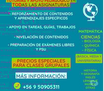 CLASES PARTICULARES ONLINE PRESENCIALES, TODAS LAS ASIGNATUR