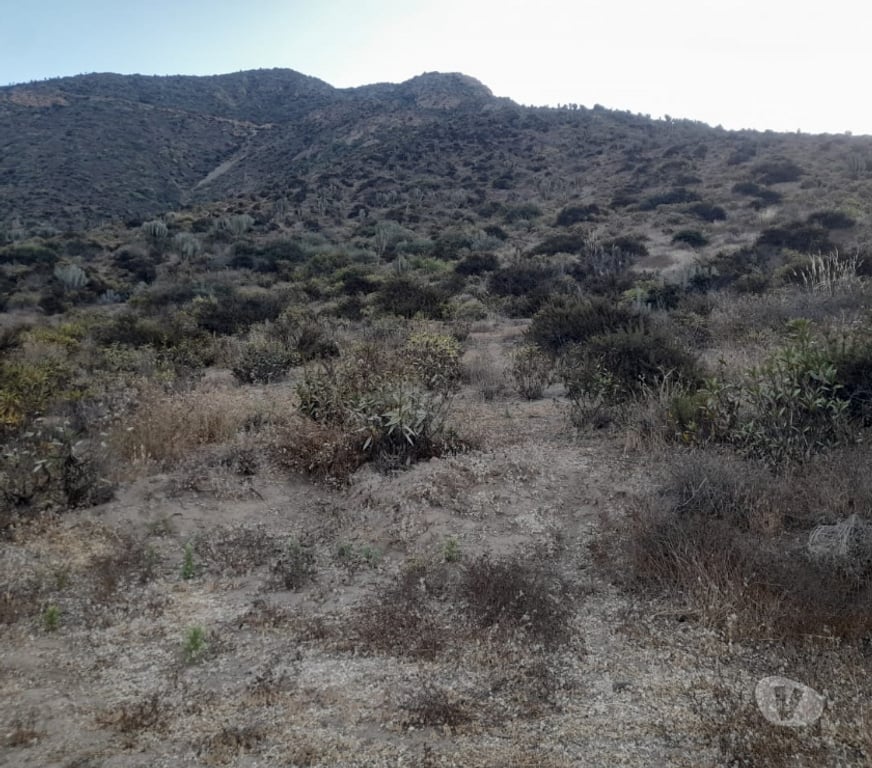 Parcelas en Venta Limarí Ovalle - Fotos de 2 Terrenos Serena Cortadera Manzano 8 Millones