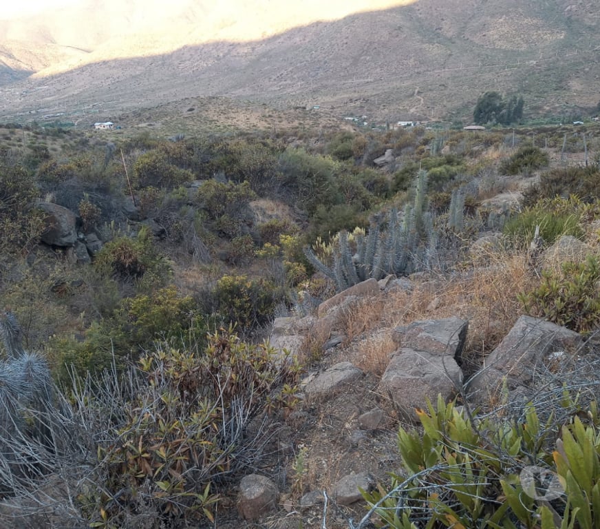 Parcelas en Venta Limarí Ovalle - Fotos de 2 Terrenos Serena Cortadera Manzano 8 Millones