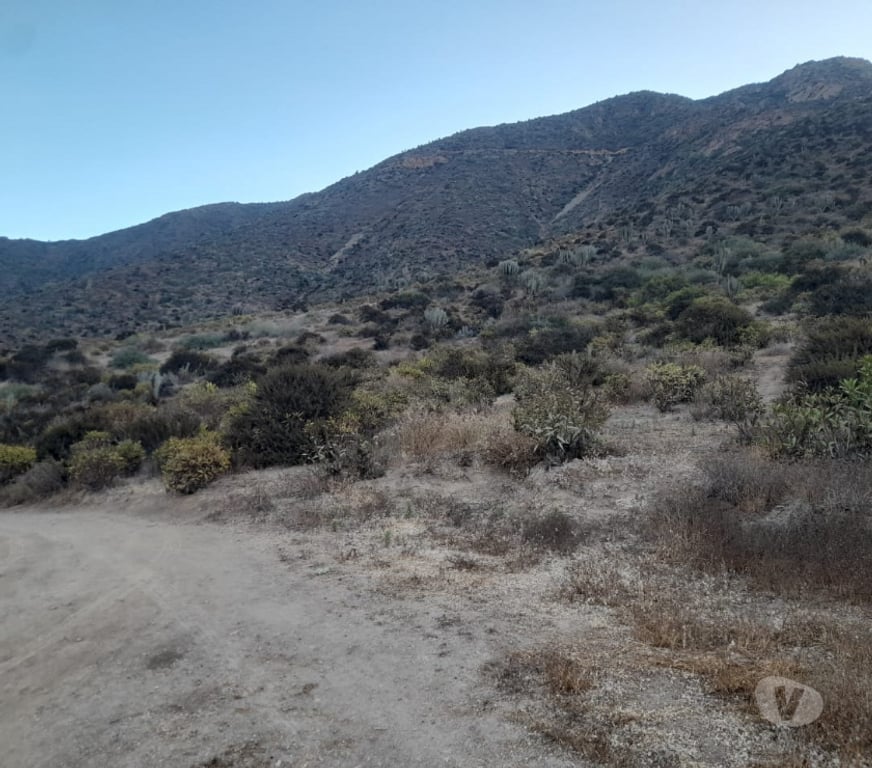 Parcelas en Venta Limarí Ovalle - Fotos de 2 Terrenos Serena Cortadera Manzano 8 Millones