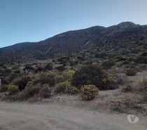 2 Terrenos Serena Cortadera Manzano 8 Millones