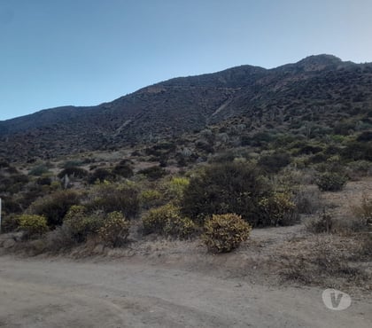 Parcelas Ovalle Limarí - Fotos de 2 Terrenos Serena Cortadera Manzano 8 Millones