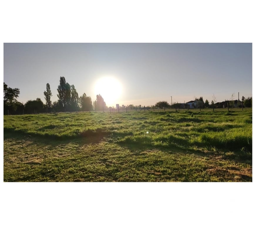 Parcelas en Venta Ñuble Chillán - Fotos de Pinto - Terreno - Parcela Pinto - Termas de Chillan