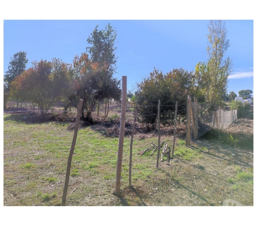 Parcelas en Venta Ñuble Chillán - Fotos de Pinto - Terreno - Parcela Pinto - Termas de Chillan