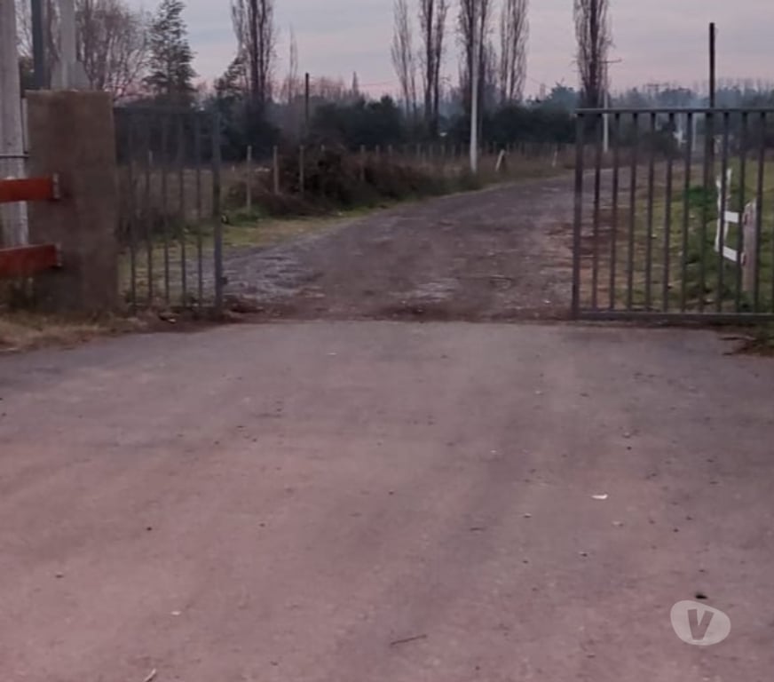 Parcelas en Venta Ñuble Chillán - Fotos de Pinto - Terreno - Parcela Pinto - Termas de Chillan