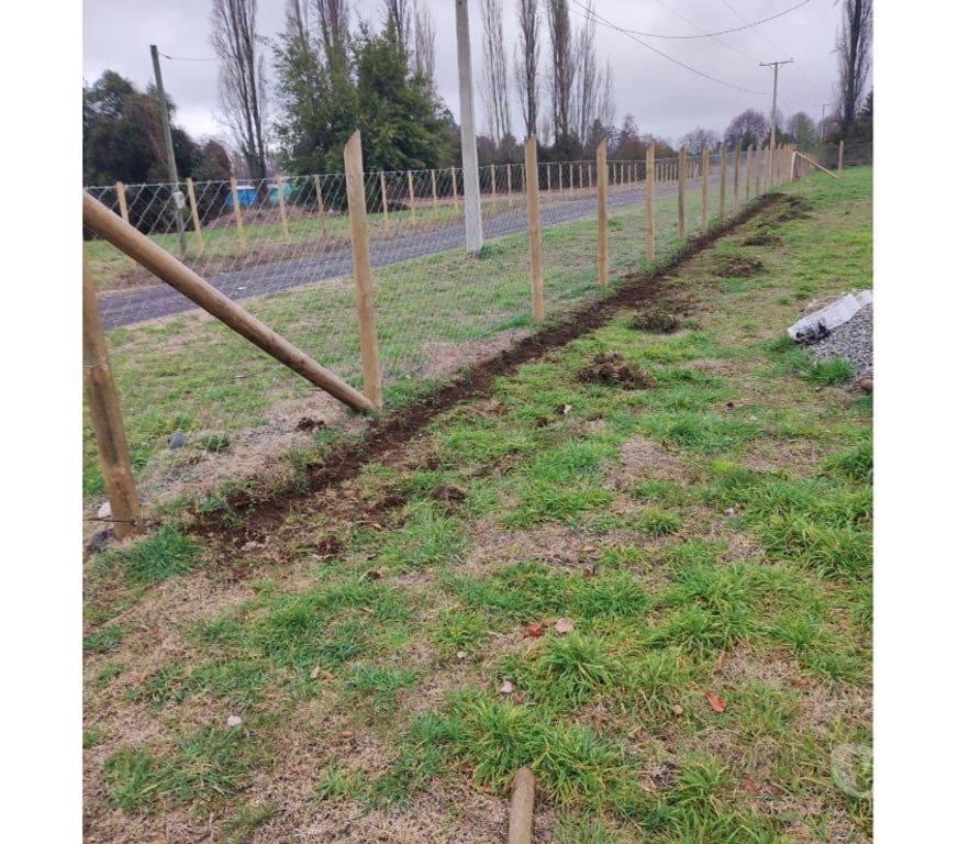 Parcelas en Venta Ñuble Chillán - Fotos de Pinto - Terreno - Parcela Pinto - Termas de Chillan