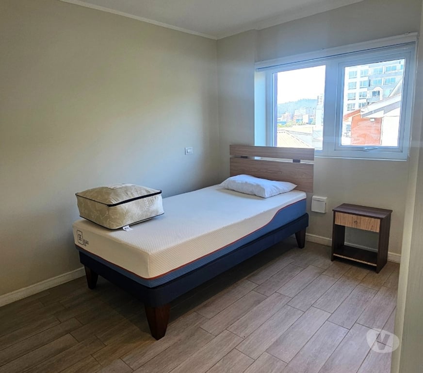 Bienes Raices Concepción Concepción - Fotos de Vende Departamento Amoblado Estilo Mariposa, en Concepción.