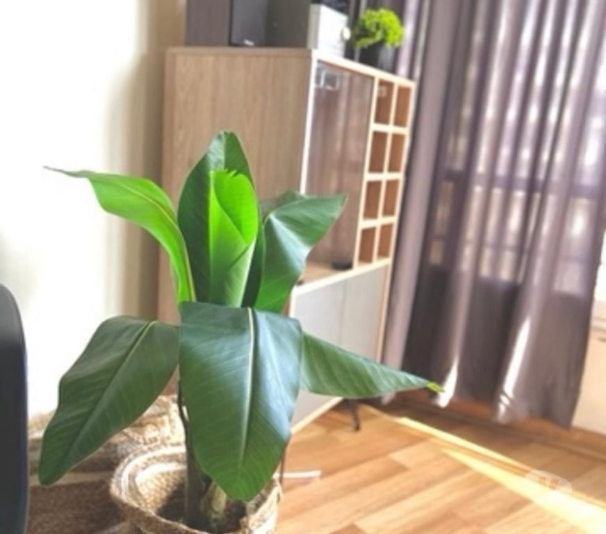 Arriendos Valparaíso Viña del Mar - Fotos de Espectacular Departamento 1 Dormitorio Viña del Mar