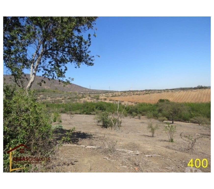 Parcelas en Venta Quillota Quillota - Fotos de Se vende, Excelente terreno agrícola de 8.5 hectáreas.