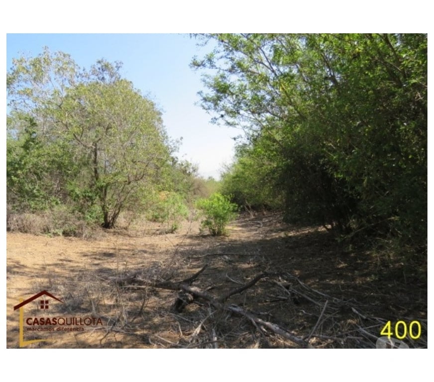 Parcelas en Venta Quillota Quillota - Fotos de Se vende, Excelente terreno agrícola de 8.5 hectáreas.