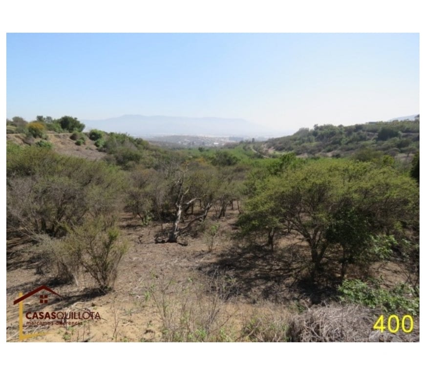 Parcelas en Venta Quillota Quillota - Fotos de Se vende, Excelente terreno agrícola de 8.5 hectáreas.