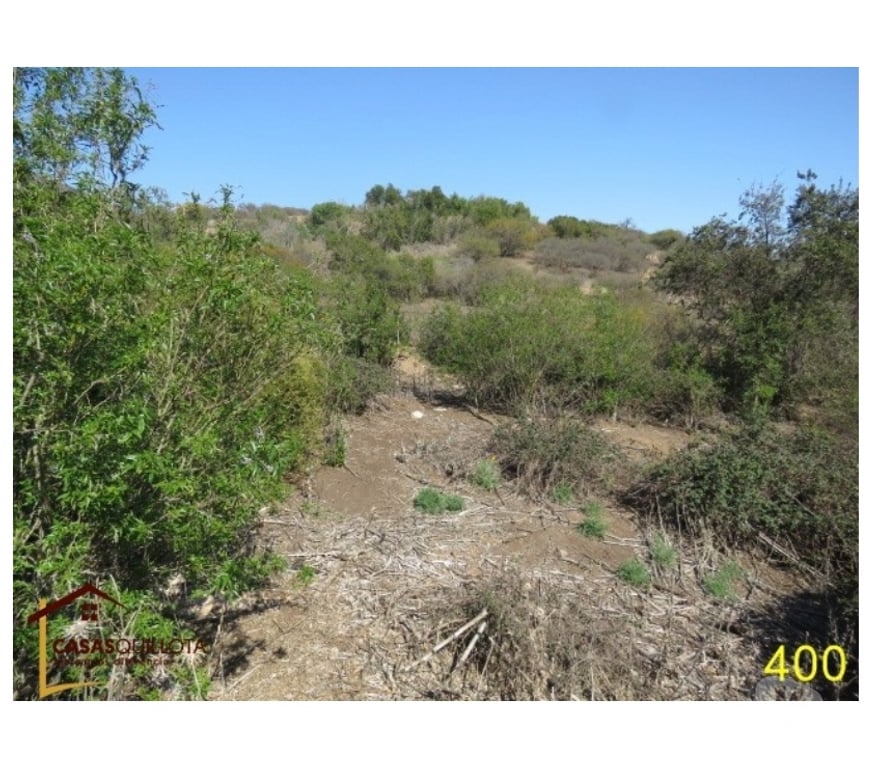 Parcelas en Venta Quillota Quillota - Fotos de Se vende, Excelente terreno agrícola de 8.5 hectáreas.