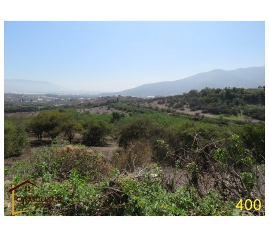 Parcelas en Venta Quillota Quillota - Fotos de Se vende, Excelente terreno agrícola de 8.5 hectáreas.