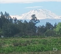 Vendo Parcela Media Hectarea casa, luz y agua potable.