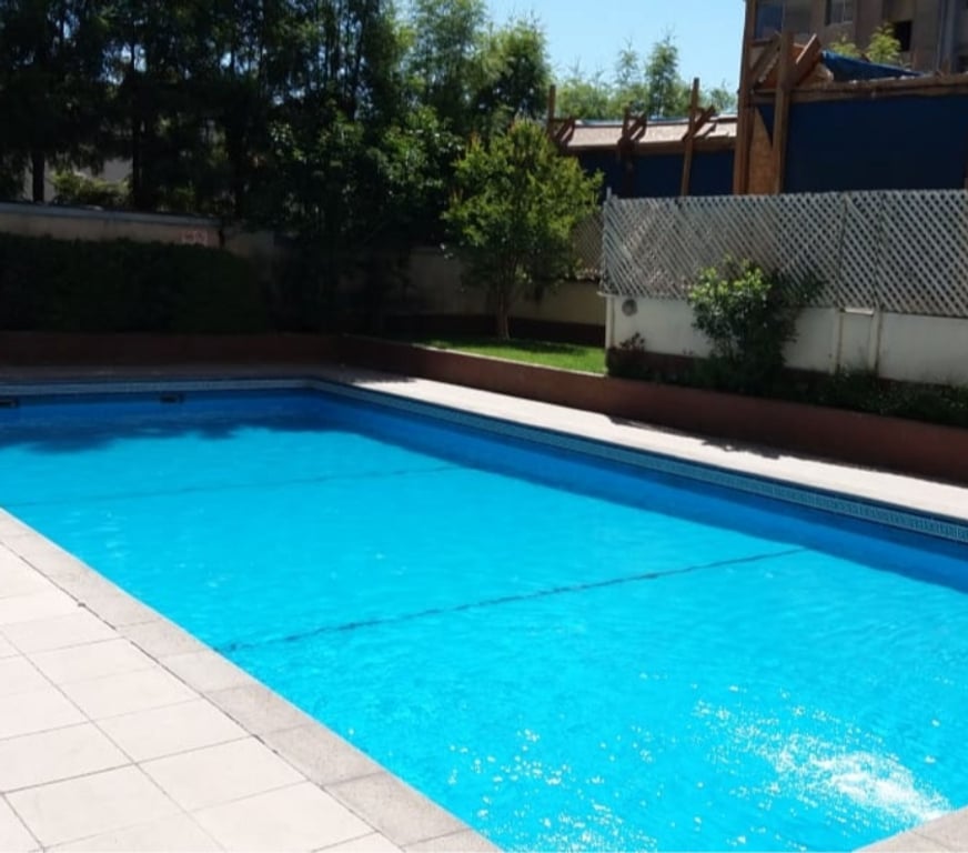 Bienes Raices Santiago Santiago - Fotos de Cercanias Metro Toesca dpto 1dmt living y balcon